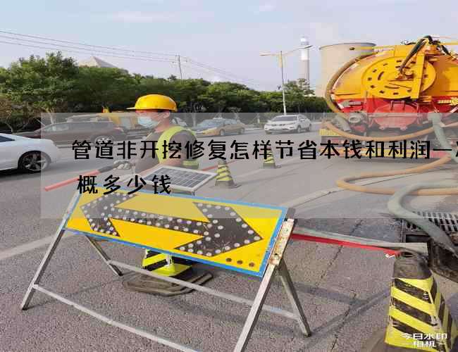 管道非开挖修复怎样节省本钱和利润一次大概多少钱