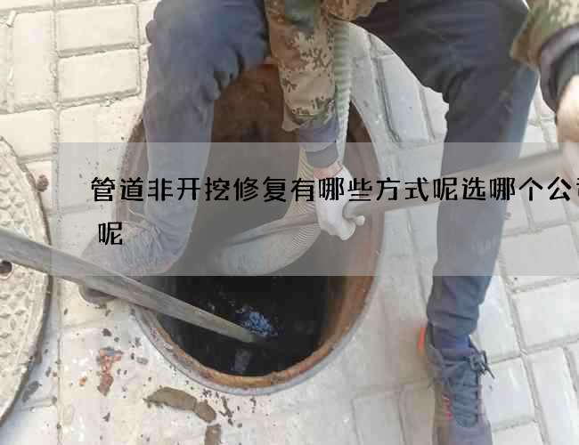 管道非开挖修复有哪些方式呢选哪个公司好呢