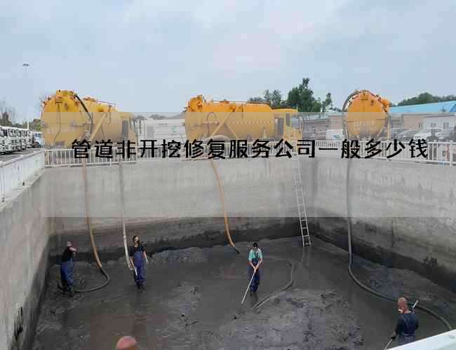 管道非开挖修复服务公司一般多少钱
