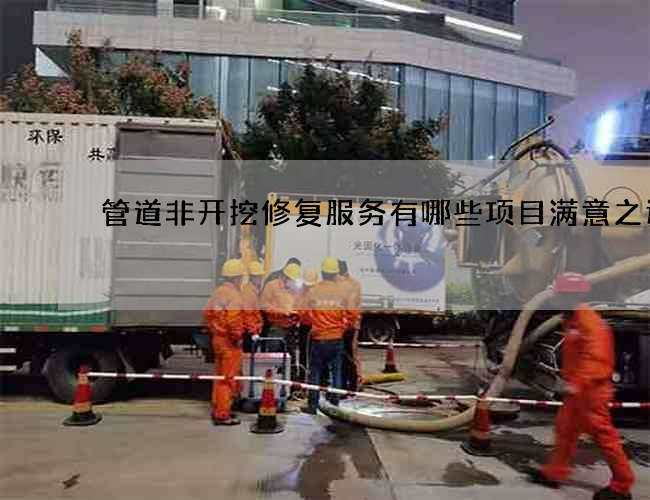 管道非开挖修复服务有哪些项目满意之选