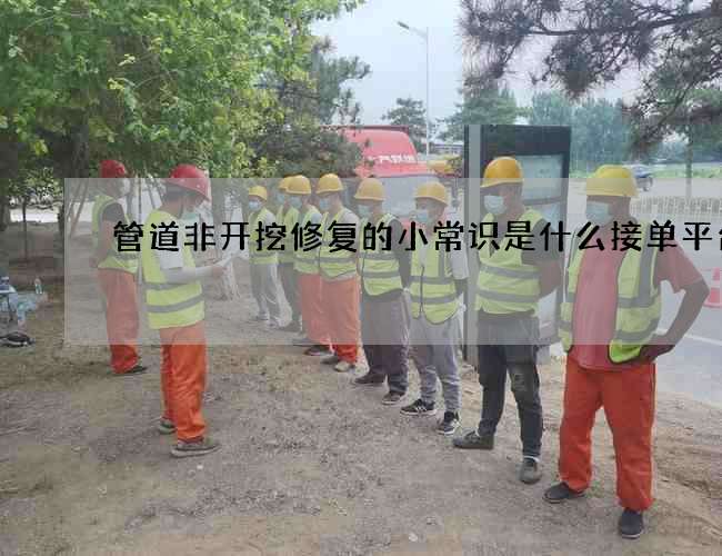 管道非开挖修复的小常识是什么接单平台
