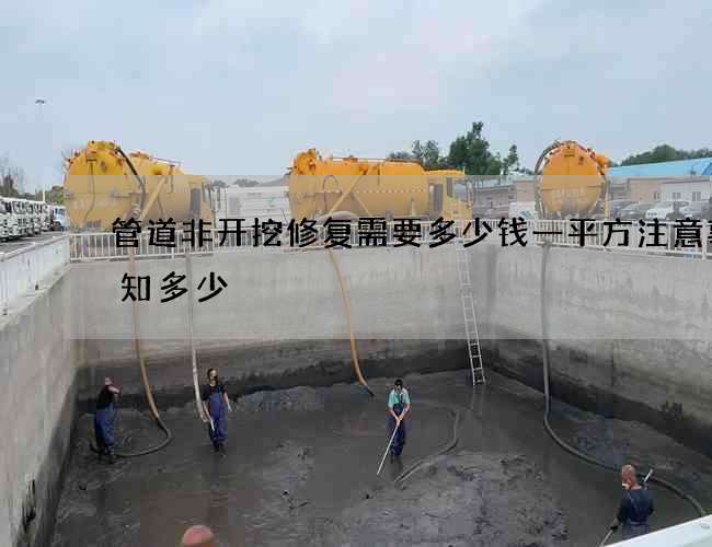 管道非开挖修复需要多少钱一平方注意事项知多少