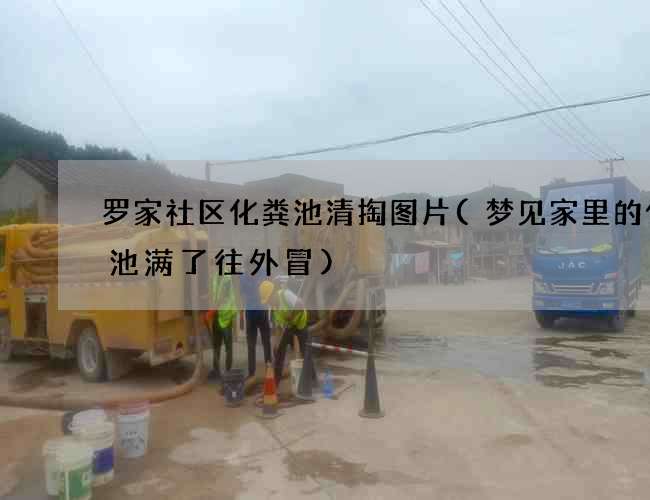 罗家社区化粪池清掏图片(梦见家里的化粪池满了往外冒)
