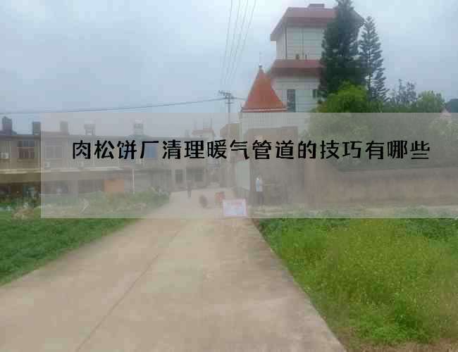 肉松饼厂清理暖气管道的技巧有哪些? 肉松饼厂清理暖气管道的技巧有哪些?