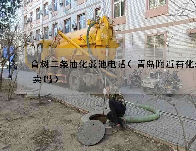 育树二条抽化粪池电话(青岛附近有化粪池卖吗)