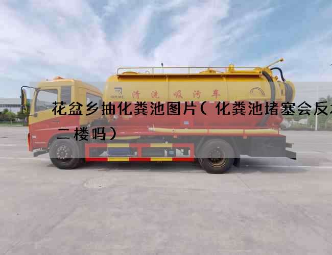 花盆乡抽化粪池图片(化粪池堵塞会反水到二楼吗)