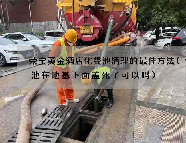 荣宝黄金酒店化粪池清理的最佳方法(化粪池在地基下面盖死了可以吗)