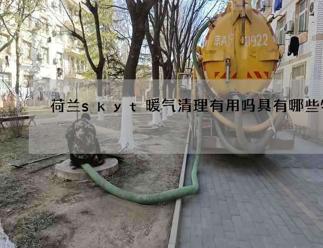 荷兰skyt暖气清理有用吗具有哪些特点