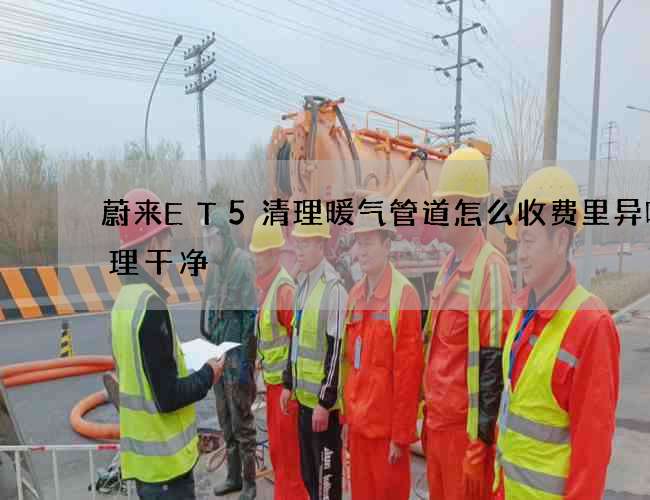 蔚来ET5清理暖气管道怎么收费里异味处理干净