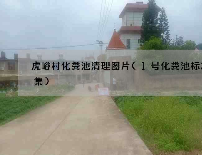 虎峪村化粪池清理图片(1号化粪池标准图集)