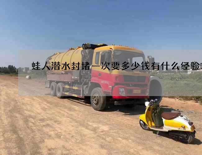 蛙人潜水封堵一次要多少钱有什么经验嘛