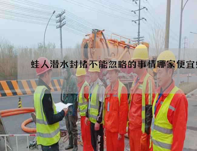 蛙人潜水封堵不能忽略的事情哪家便宜好用 蛙人潜水封堵不能忽略的事情哪家便宜好用