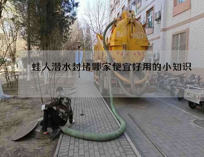 蛙人潜水封堵哪家便宜好用的小知识 蛙人潜水封堵哪家便宜好用的小知识