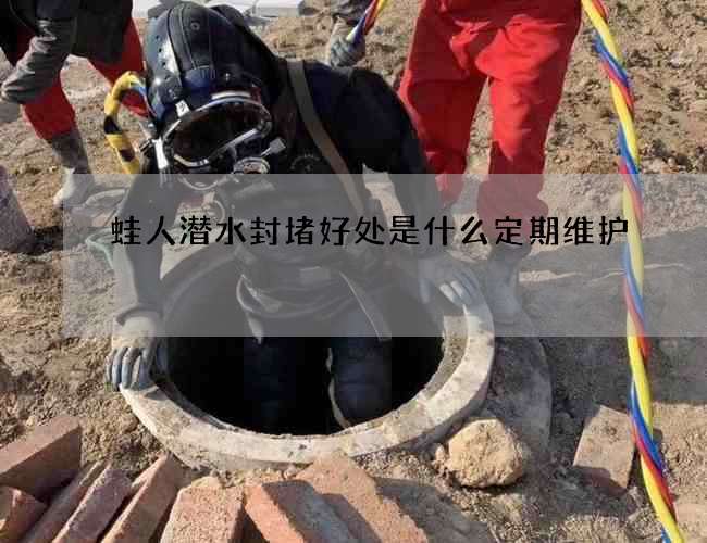 蛙人潜水封堵好处是什么定期维护