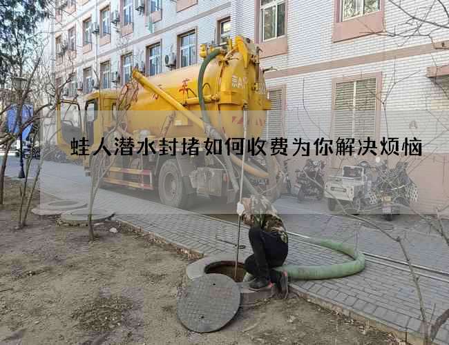 蛙人潜水封堵如何收费为你解决烦恼