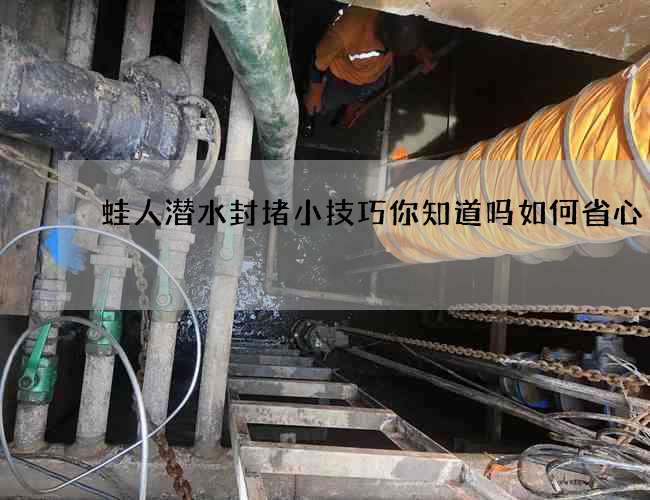 蛙人潜水封堵小技巧你知道吗如何省心