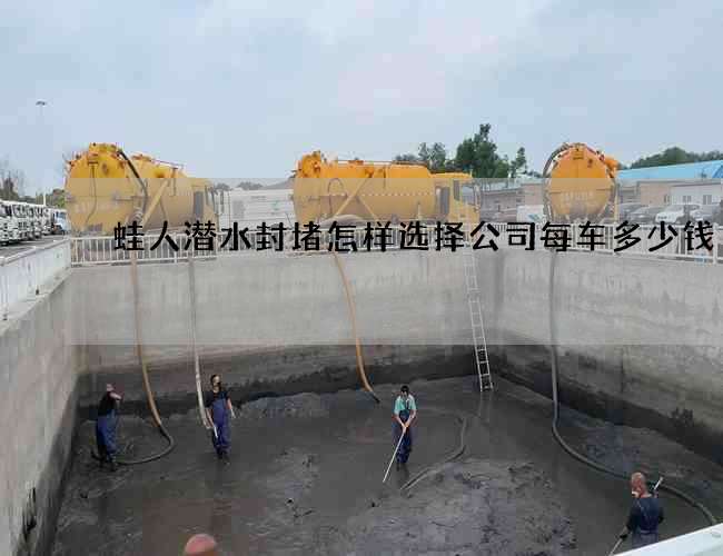 蛙人潜水封堵怎样选择公司每车多少钱