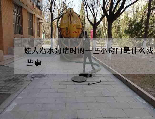 蛙人潜水封堵时的一些小窍门是什么费用那些事