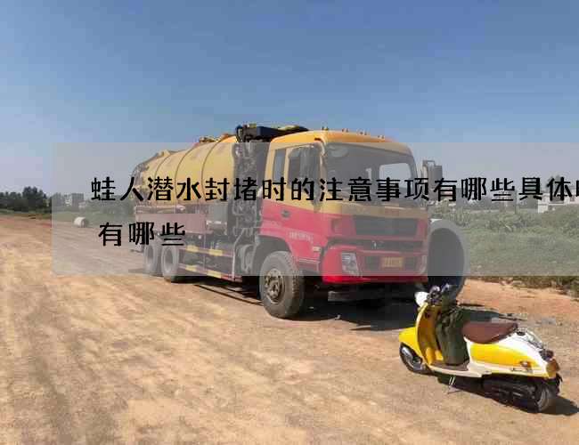 蛙人潜水封堵时的注意事项有哪些具体收费有哪些