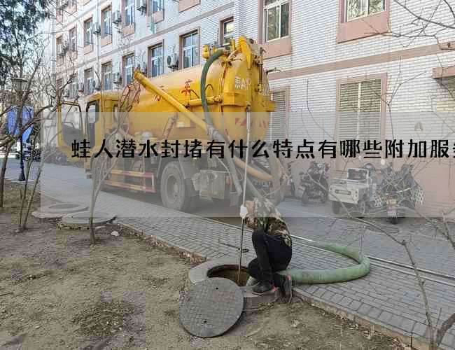 蛙人潜水封堵有什么特点有哪些附加服务