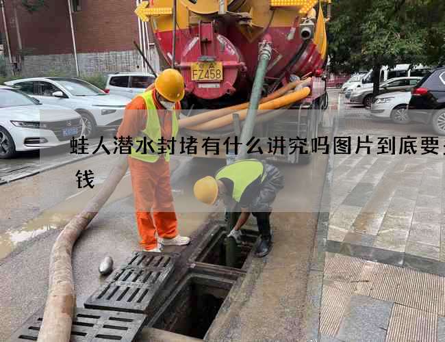 蛙人潜水封堵有什么讲究吗图片到底要多少钱 蛙人潜水封堵有什么讲究吗图片到底要多少钱