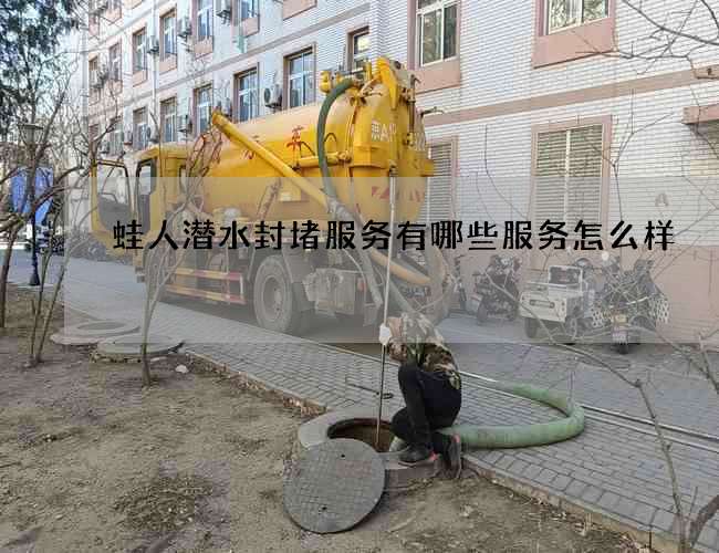 蛙人潜水封堵服务有哪些服务怎么样