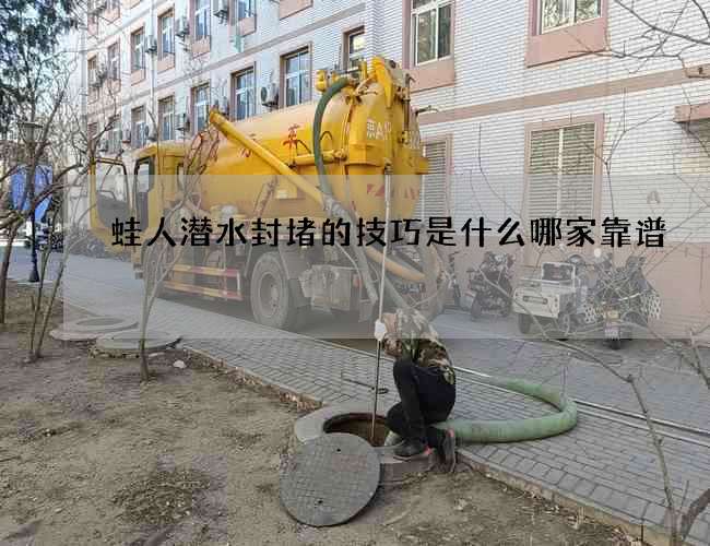 蛙人潜水封堵的技巧是什么哪家靠谱