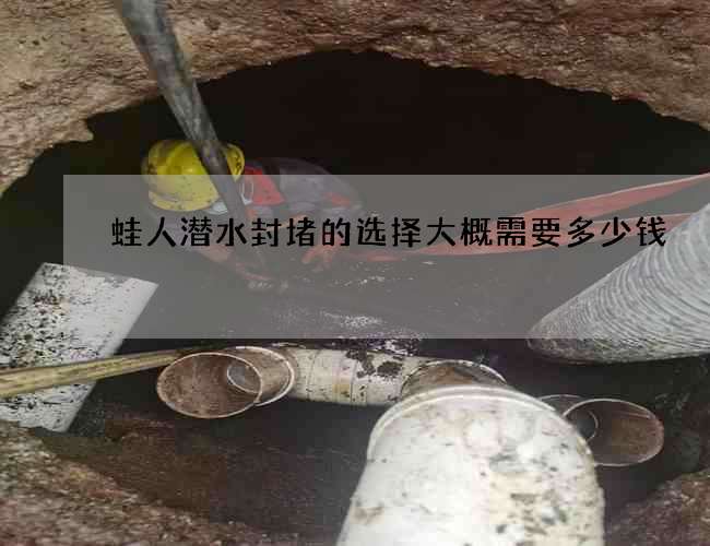 蛙人潜水封堵的选择大概需要多少钱