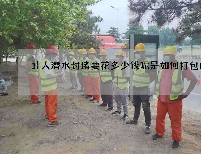 蛙人潜水封堵要花多少钱呢是如何打包的