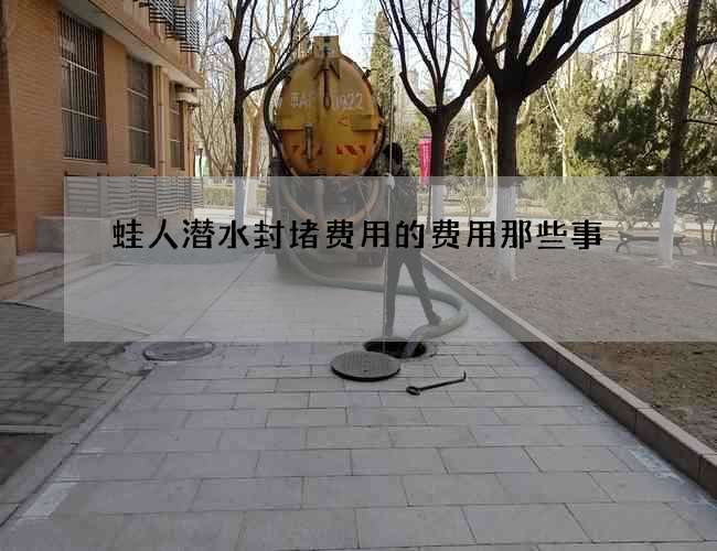 蛙人潜水封堵费用的费用那些事