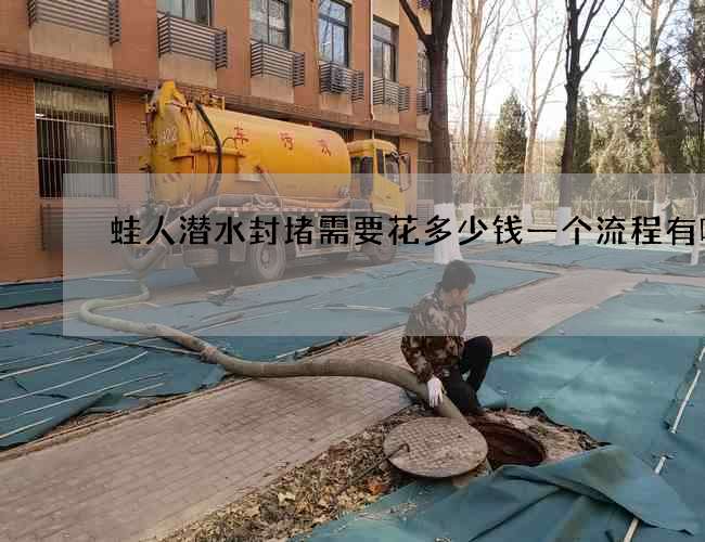 蛙人潜水封堵需要花多少钱一个流程有哪些