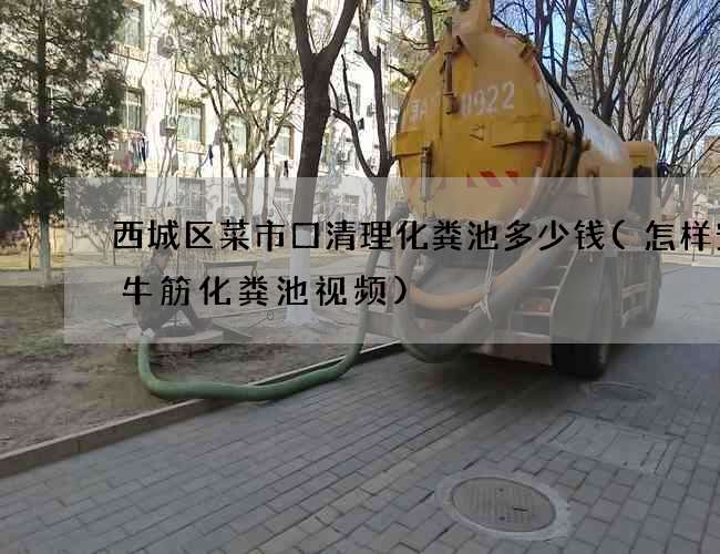 西城区菜市口清理化粪池多少钱(怎样安装牛筋化粪池视频)
