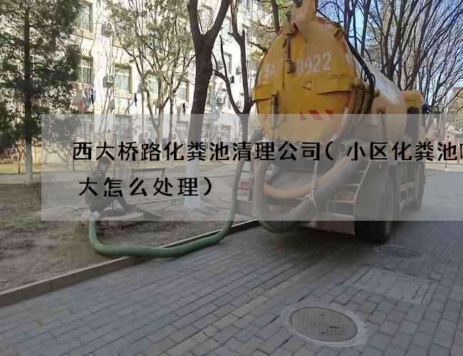 西大桥路化粪池清理公司(小区化粪池味道大怎么处理)