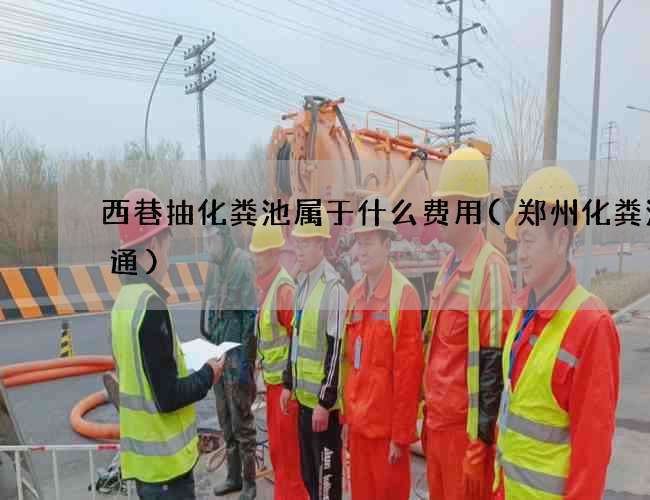 西巷抽化粪池属于什么费用(郑州化粪池疏通)