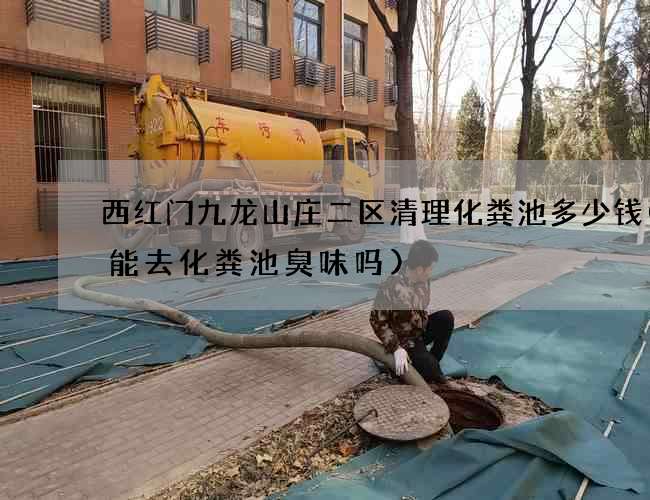 西红门九龙山庄二区清理化粪池多少钱(盐能去化粪池臭味吗)