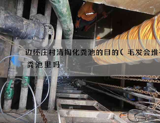 边怀庄村清掏化粪池的目的(毛发会堆在化粪池里吗) 边怀庄村清掏化粪池的目的(毛发会堆在化粪池里吗)
