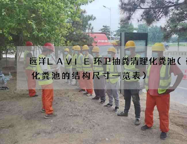 远洋LAVIE环卫抽粪清理化粪池(砖砌化粪池的结构尺寸一览表)