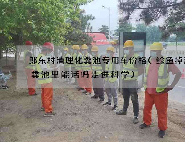 郎东村清理化粪池专用车价格(鲶鱼掉进化粪池里能活吗走进科学)