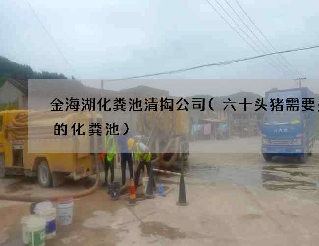 金海湖化粪池清掏公司(六十头猪需要多大的化粪池)