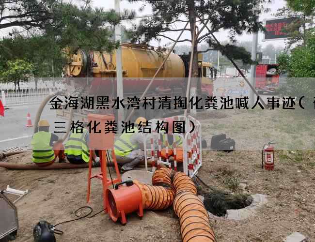 金海湖黑水湾村清掏化粪池喊人事迹(砌砖三格化粪池结构图)