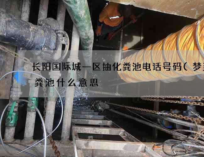 长阳国际城一区抽化粪池电话号码(梦到化粪池什么意思) 长阳国际城一区抽化粪池电话号码(梦到化粪池什么意思)