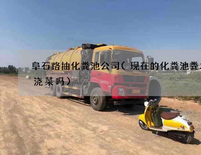 阜石路抽化粪池公司(现在的化粪池粪水能浇菜吗)