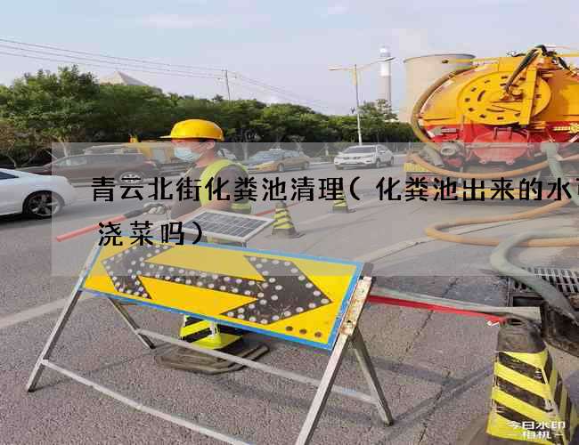 青云北街化粪池清理(化粪池出来的水可以浇菜吗)