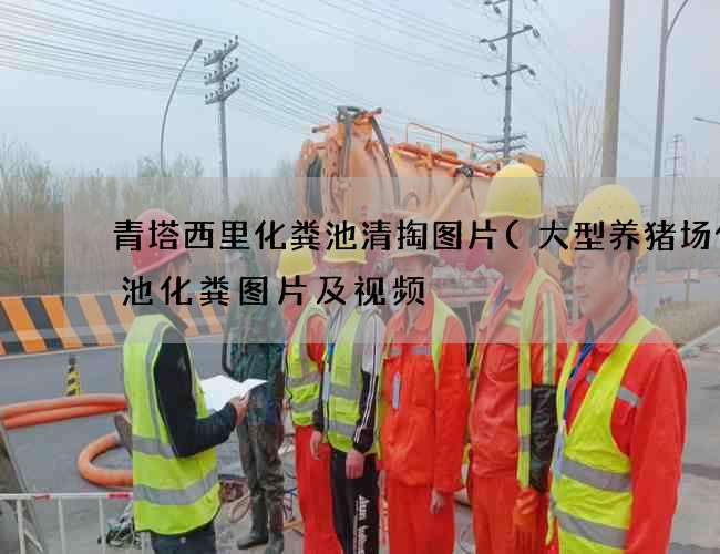 青塔西里化粪池清掏图片(大型养猪场化粪池化粪图片及视频) 青塔西里化粪池清掏图片(大型养猪场化粪池化粪图片及视频)