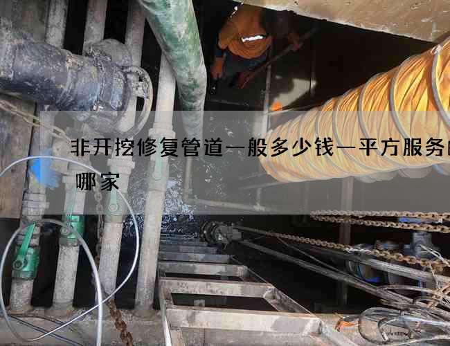 非开挖修复管道一般多少钱一平方服务的是哪家
