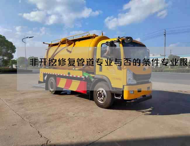 非开挖修复管道专业与否的条件专业服务