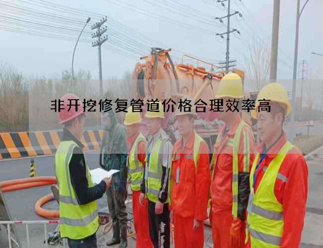非开挖修复管道价格合理效率高 非开挖修复管道价格合理效率高