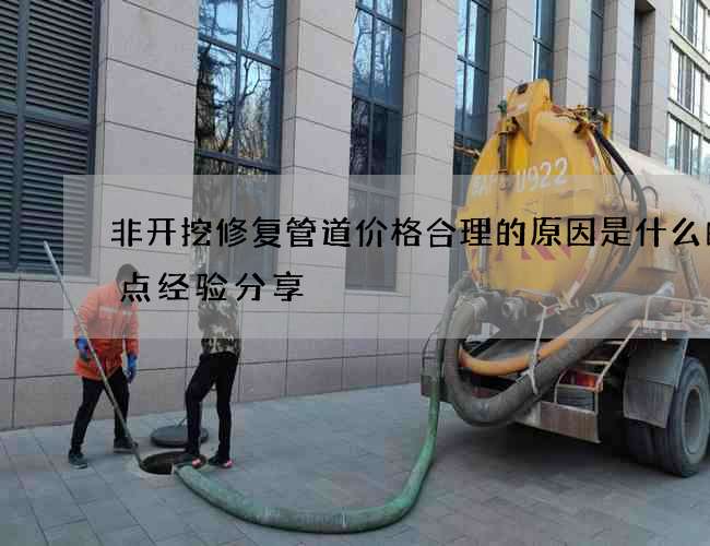 非开挖修复管道价格合理的原因是什么的几点经验分享 非开挖修复管道价格合理的原因是什么的几点经验分享