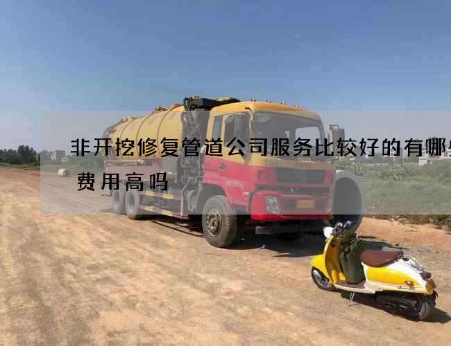 非开挖修复管道公司服务比较好的有哪些的费用高吗 非开挖修复管道公司服务比较好的有哪些的费用高吗