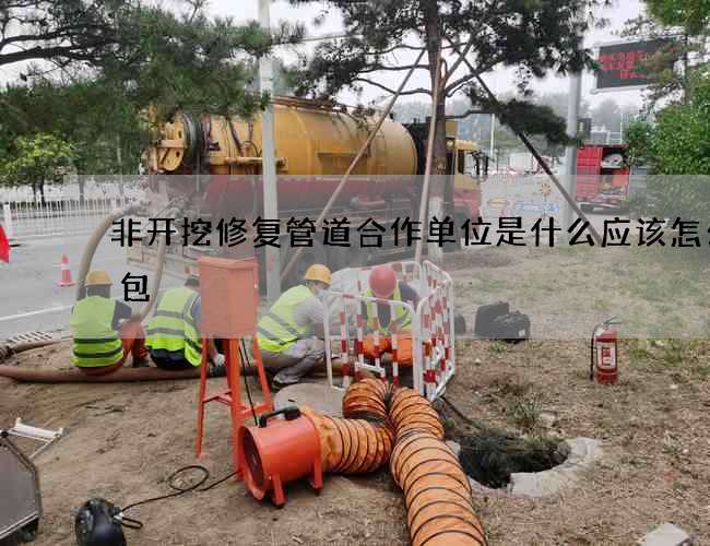 非开挖修复管道合作单位是什么应该怎么打包